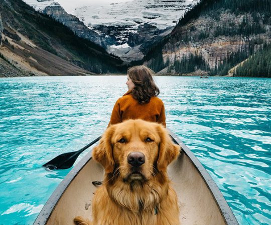 Human Takes His Dog On Epic Adventures, Proves That Dogs Are The Best Travel Buddies